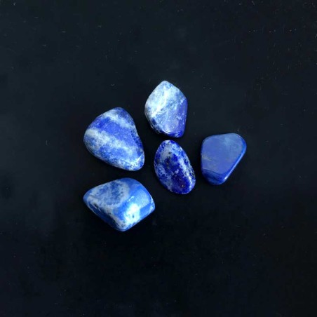 Lapis Lazuli 5 sten sæt Natural Tumbled Lapis Gemstone